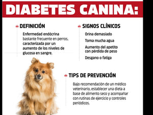 DIABETES SOLUCION PARA PERROS Y GATOS (60 Capsules - Made in USA)