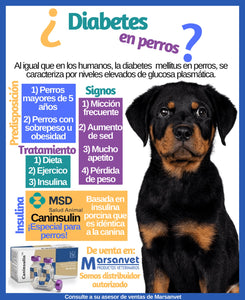 DIABETES SOLUCION PARA PERROS Y GATOS (60 Capsules - Made in USA)