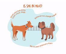 INDUCE HEAT IN DOGS RIGHT AWAY - FEMALE DOG HEAT CYCLES SUPPORT - MADE IN USA