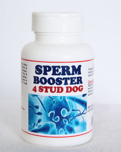 SPERM BOOSTERS FOR STUD DOG