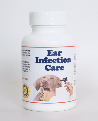 INFECTION DEL OIDO EN MASCOTAS (100 Cap) - OTITIS