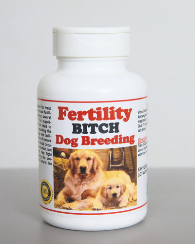 FERTILIDAD PARA UNA PERRA - HEMBRA DEL PERRO