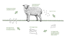 GET RID OF PARASITES IN SHEEP, GOAT NATURALLY - Anti-Parasites - DEWORMER IN SHEEP - MADE IN USA